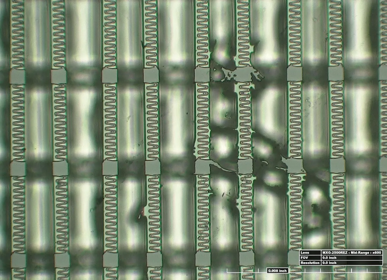 Hirox digital microscope KH-8700: archived work image 4