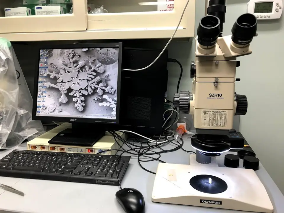 Stereoscopes: archived work image 1