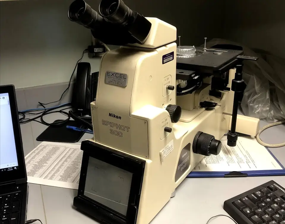 Stereoscopes: archived work image 2