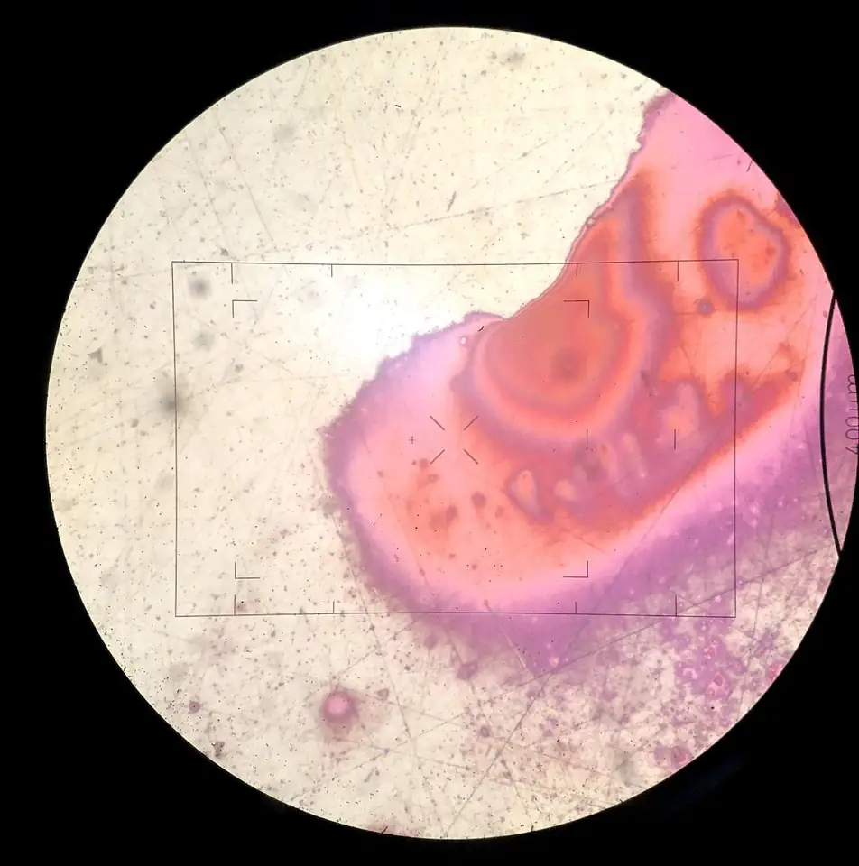 Stereoscopes: archived work image 3