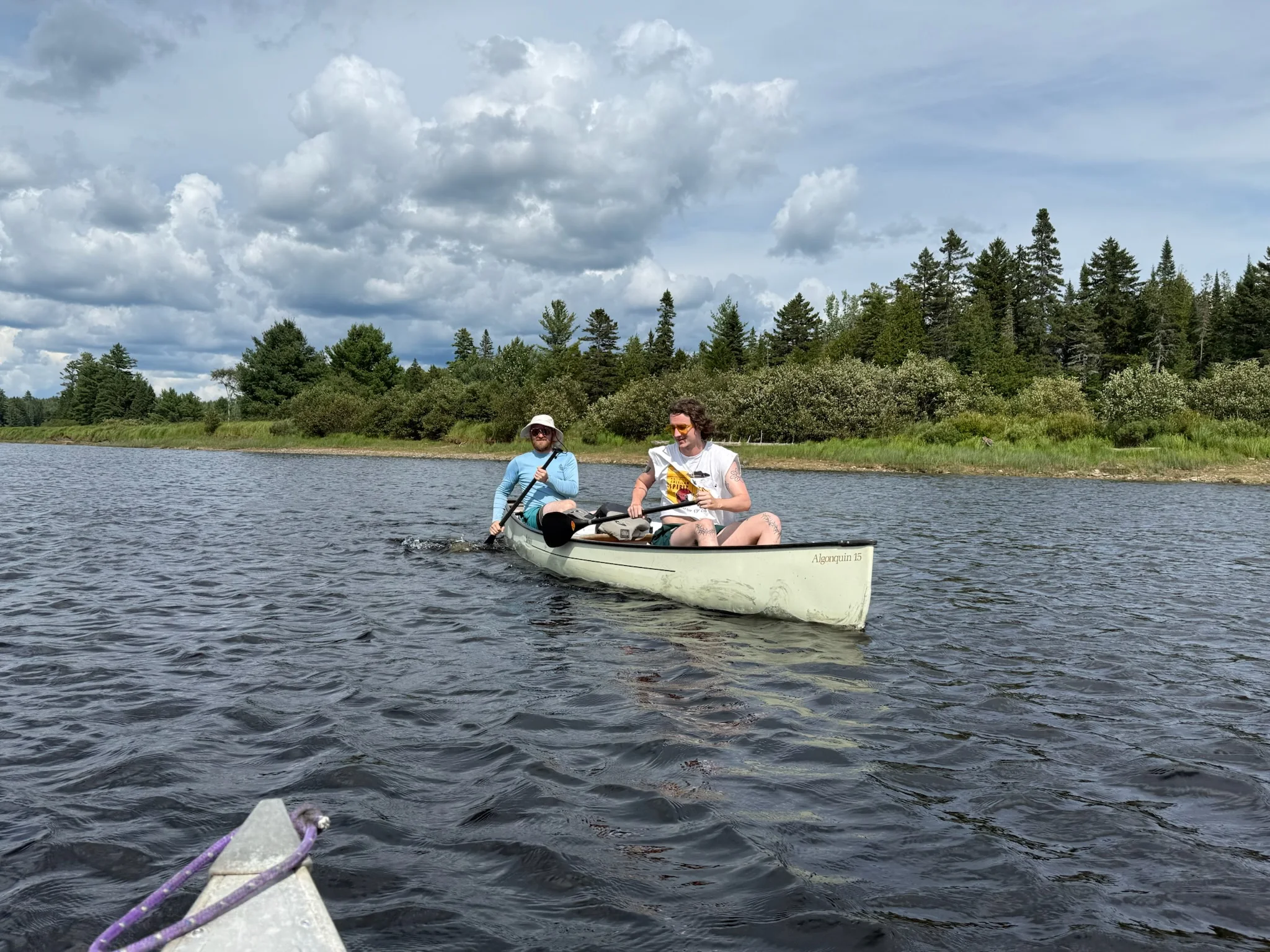 Two paddlers in a canoe beside a wooded shoreline.