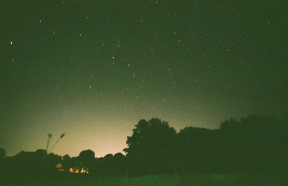 Stars above trees and a softly lit horizon.