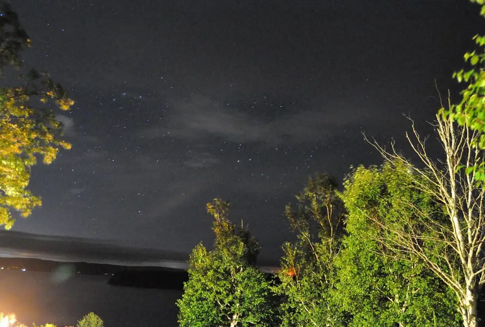 Stars above illuminated trees and water.