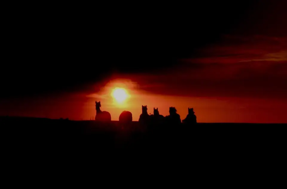 Silhouetted people beneath an orange sunset.
